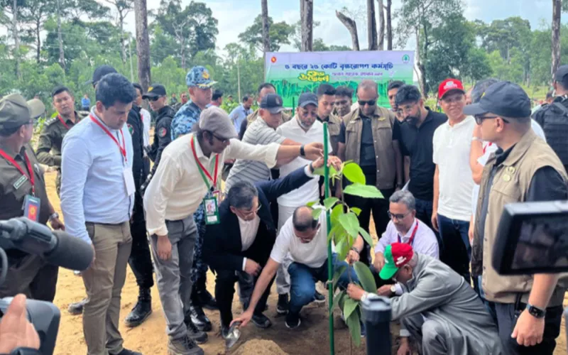 দেশব্যাপী ২৫ কোটি বৃক্ষরোপণ কর্মসূচি উদ্বোধন প্রধানমন্ত্রীর